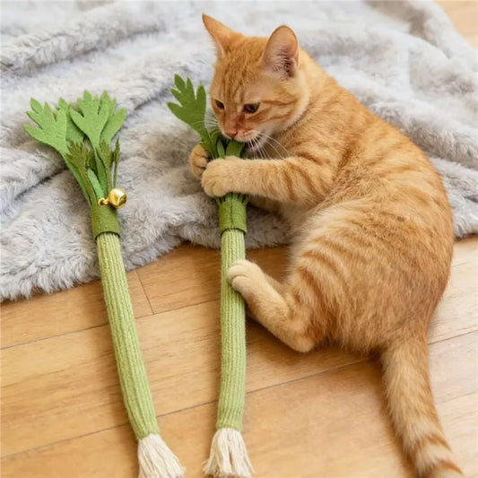 Jouets à mâcher pour chats, jouet à la catnip pour le nettoyage des dents, bâtonnets à mâcher interactifs pour chats, jouet à la catnip pour la mastication, jouet couineur à mordre pour chats