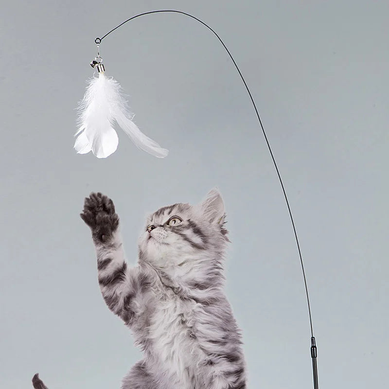 Katzenspielzeug, Federstab, interaktives Kätzchenspielzeug mit abnehmbarem Supersaugnapf, 2 Feder-Ersatzteile, Katzenzubehör