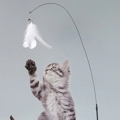Katzenspielzeug, Federstab, interaktives Kätzchenspielzeug mit abnehmbarem Supersaugnapf, 2 Feder-Ersatzteile, Katzenzubehör
