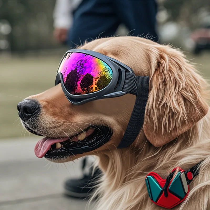 Verstellbare Sonnenbrille für Haustiere, UV-Schutz, Augenschutz, schwarz, vielseitig einsetzbar, Zubehör für Haustierhunde