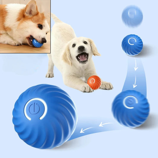 Balle roulante rebondisnoyaux à mouvement automatique pour chien, jouet coule intelligent, boule à mâcher pour chien, USB, AIN