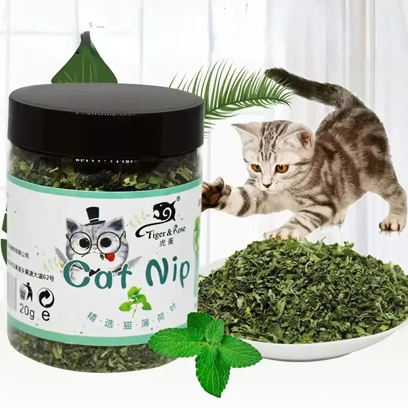 100 % natürliche Bio-Qualität Katzenminze Viehgeschmack Lustiges Katzenspielzeug Neues interaktives Katzenspielzeug Katzenzubehör Haustierbedarf