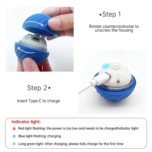 Intelligenter Rolling Ball für Hunde, selbstbewegend, springend, interaktives Spielzeug, USB, AIN