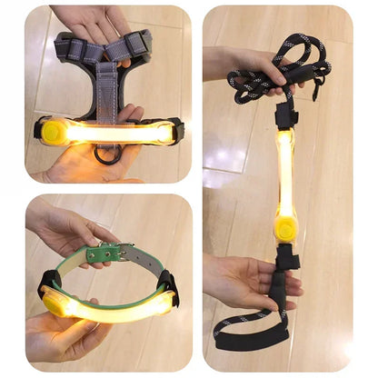 Leuchtendes Anti-Verlust-Sicherheitshalsband für Hunde, wasserdicht, mit mehrfarbigen Anhängern und blinkendem LED-Band für draußen, Sichtbarkeit bei Nacht