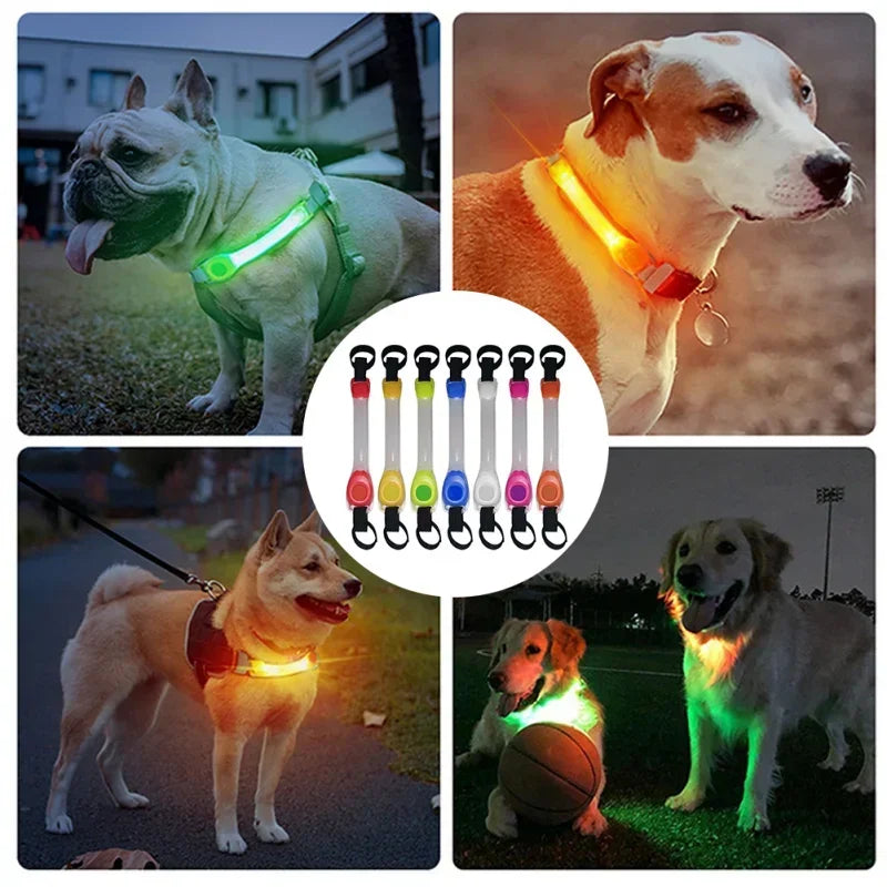 Leuchtendes Anti-Verlust-Sicherheitshalsband für Hunde, wasserdicht, mit mehrfarbigen Anhängern und blinkendem LED-Band für draußen, Sichtbarkeit bei Nacht