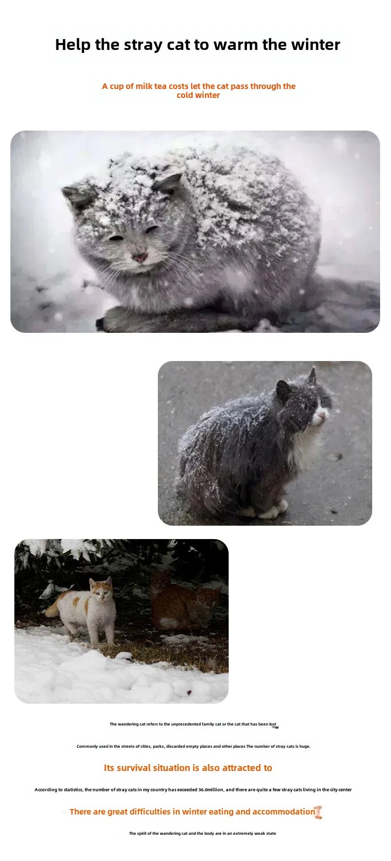 Stray Cat Hundehütte Wasserdicht Outdoor Winter Warme Haustierhöhle Schlafbetten Faltbares waschbares Haus für kleine Hunde Welpenbedarf