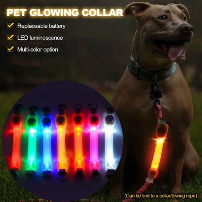 Leuchtendes Anti-Verlust-Sicherheitshalsband für Hunde, wasserdicht, mit mehrfarbigen Anhängern und blinkendem LED-Band für draußen, Sichtbarkeit bei Nacht