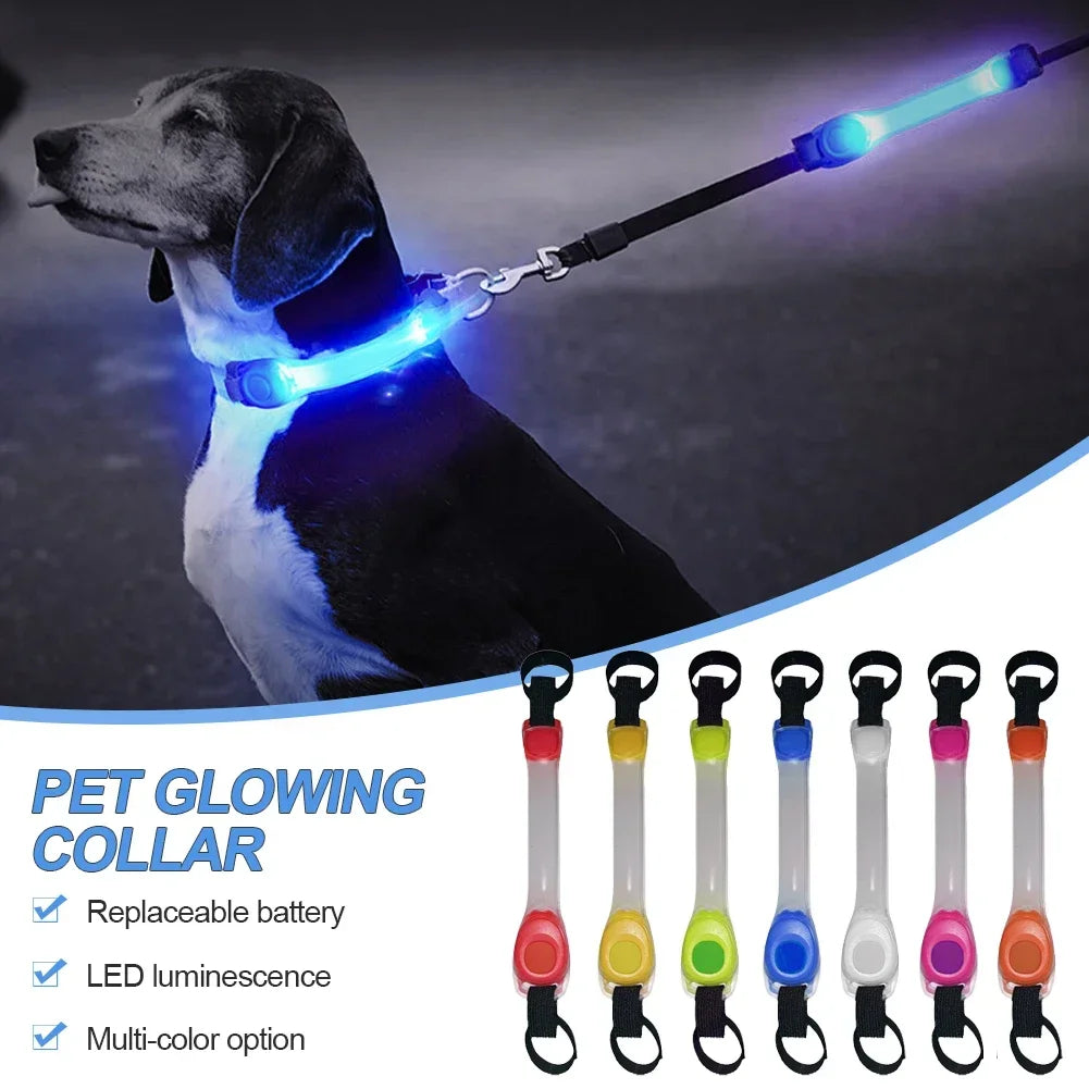 Leuchtendes Anti-Verlust-Sicherheitshalsband für Hunde, wasserdicht, mit mehrfarbigen Anhängern und blinkendem LED-Band für draußen, Sichtbarkeit bei Nacht
