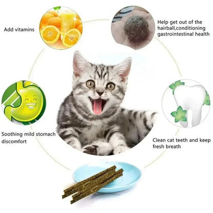 6 Natural Matatabi Catnip Sticks for Cats, for Teeth Cleaning and Gum Stimulation, Cat Toys, Pet Supplies