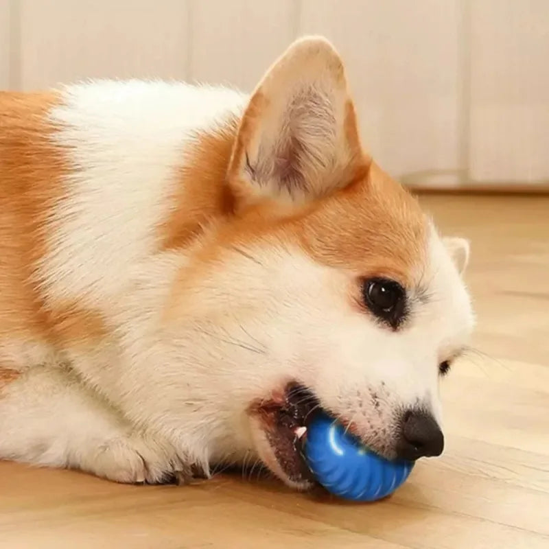 Automatic Rolling Bouncing Ball for Dogs, Smart Moving Chew Toy, USB, AIN