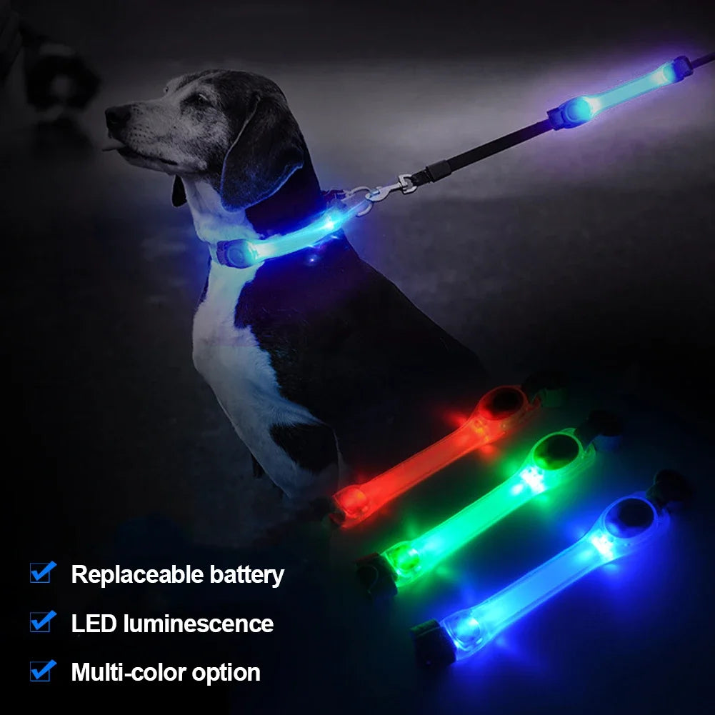 Leuchtendes Anti-Verlust-Sicherheitshalsband für Hunde, wasserdicht, mit mehrfarbigen Anhängern und blinkendem LED-Band für draußen, Sichtbarkeit bei Nacht