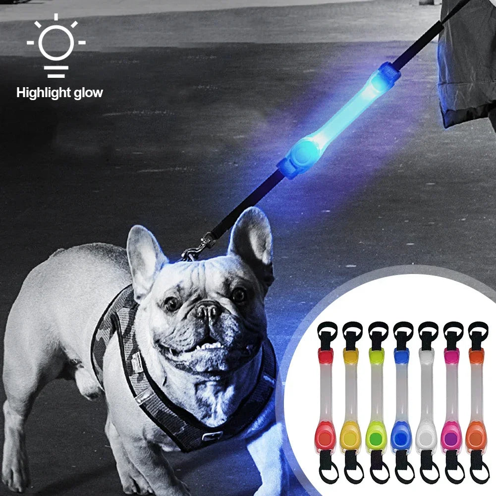 Leuchtendes Anti-Verlust-Sicherheitshalsband für Hunde, wasserdicht, mit mehrfarbigen Anhängern und blinkendem LED-Band für draußen, Sichtbarkeit bei Nacht
