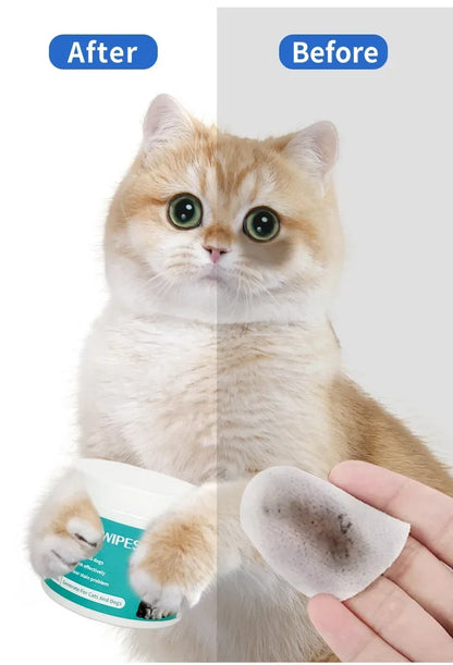 Reinigungsprodukte für Haustiere Augenwischtücher zur Entfernung von Tränenflecken Feuchttuchreinigung Augenwischertücher für Katzen zur Entfernung von Tränenflecken und zur Reinigung von An