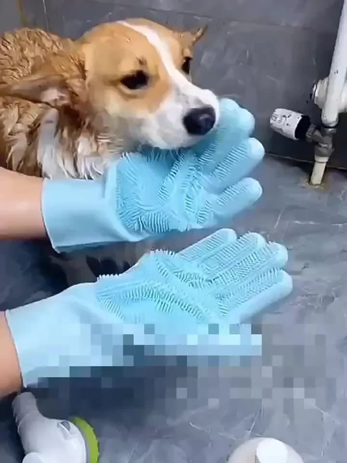 Haustierpflegehandschuhe, Hunde- und Katzenshampoo, magischer Silikonschwamm zum Geschirrspülen, Haarentfernung