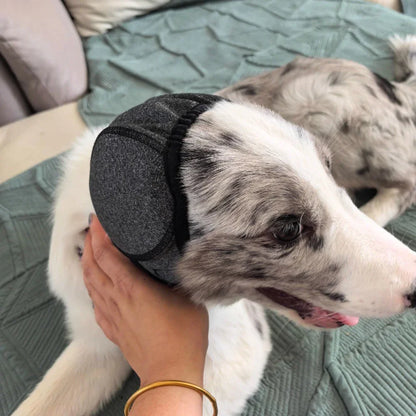 Hundeohrenschützer, Lärmreduzierung, Schallschutz, wasserdicht, zum Schwimmen, emotional beruhigende Kopfbedeckung für Hunde
