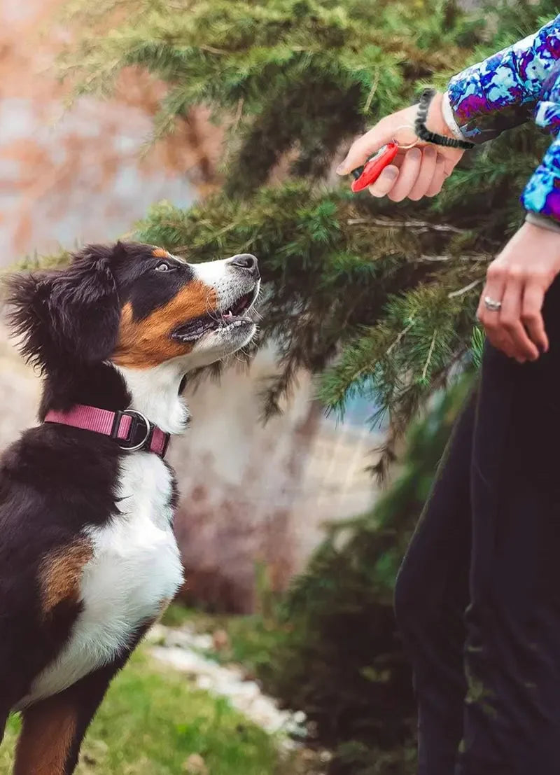 Hundetraining-Clicker, für Haustiere, Katze, Hund, Trainer, Verwendung für Katze, Welpe, Vögel, Pferde, Hilfe, verstellbare Handschlaufe, Klang, Schlüsselanhänger