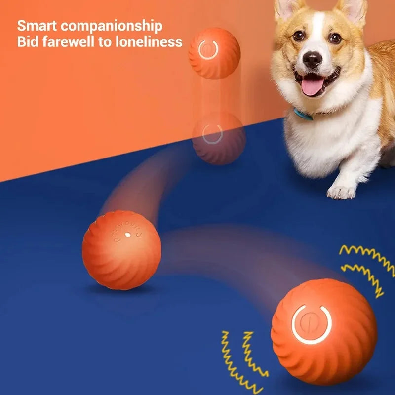 Automatic Rolling Bouncing Ball for Dogs, Smart Moving Chew Toy, USB, AIN