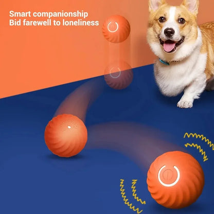 Automatic Rolling Bouncing Ball for Dogs, Smart Moving Chew Toy, USB, AIN