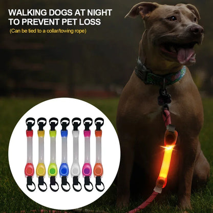 Leuchtendes Anti-Verlust-Sicherheitshalsband für Hunde, wasserdicht, mit mehrfarbigen Anhängern und blinkendem LED-Band für draußen, Sichtbarkeit bei Nacht