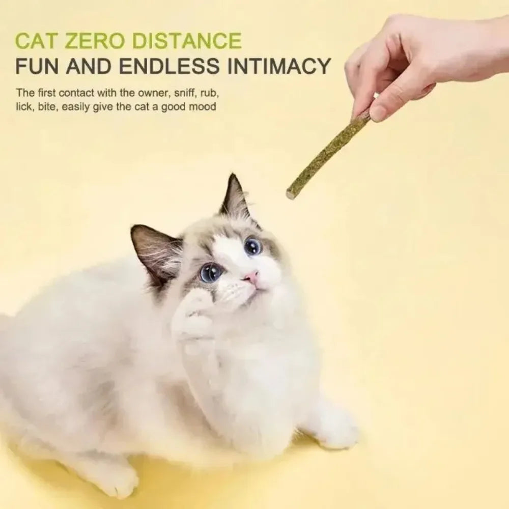 6 Natural Matatabi Catnip Sticks for Cats, for Teeth Cleaning and Gum Stimulation, Cat Toys, Pet Supplies