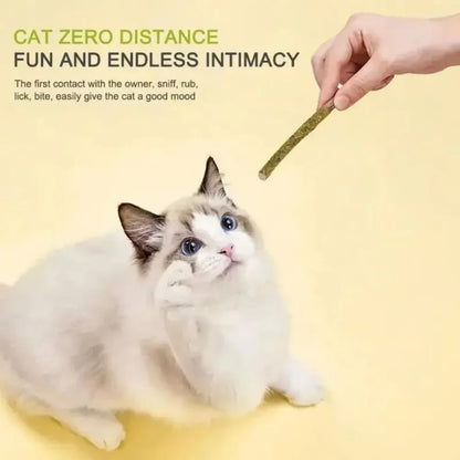 6 Natural Matatabi Catnip Sticks for Cats, for Teeth Cleaning and Gum Stimulation, Cat Toys, Pet Supplies