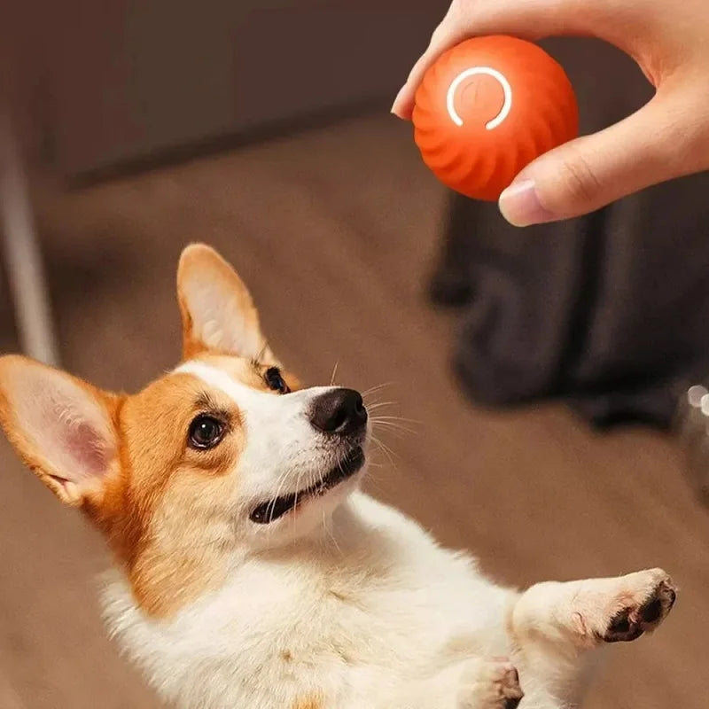 Automatic Rolling Bouncing Ball for Dogs, Smart Moving Chew Toy, USB, AIN