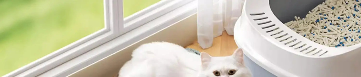 Extragroße Katzenstreumatte, robust, wasserdicht, 2-lagig, rutschfest, waschbar, Bodenschutz für Haustiere, Katzentoilette, Sandstopper