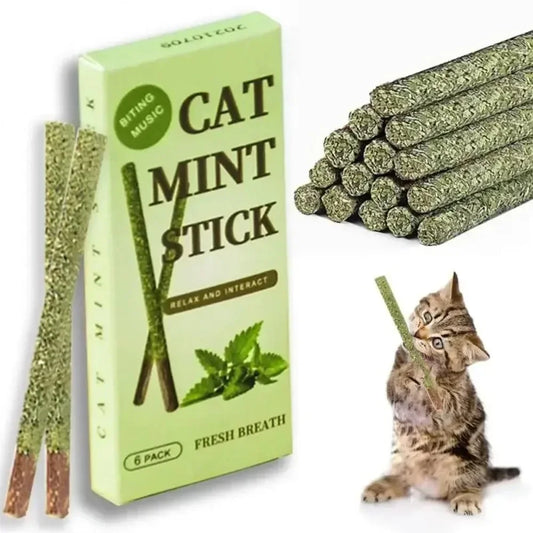6 bâtonnets naturels de Matatabi à la menthe pour chat, pour le nettoyage des dents et la stimulation des gencives, jouets pour chat, fournitures pour animaux de compagnie