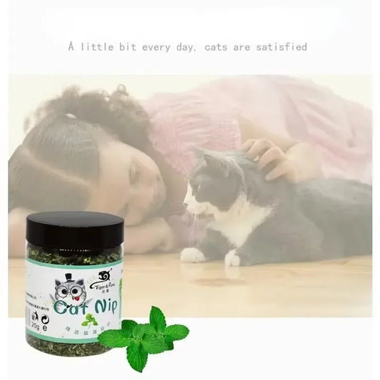 100 % natürliche Bio-Qualität Katzenminze Viehgeschmack Lustiges Katzenspielzeug Neues interaktives Katzenspielzeug Katzenzubehör Haustierbedarf