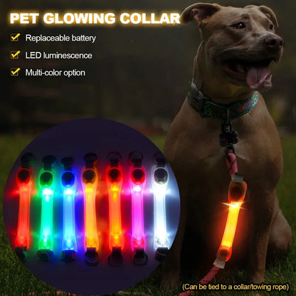Leuchtendes Anti-Verlust-Sicherheitshalsband für Hunde, wasserdicht, mit mehrfarbigen Anhängern und blinkendem LED-Band für draußen, Sichtbarkeit bei Nacht